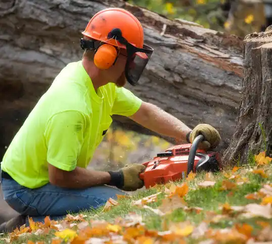 tree services Brethren